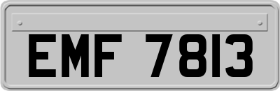 EMF7813