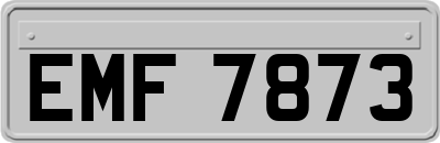 EMF7873