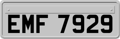 EMF7929