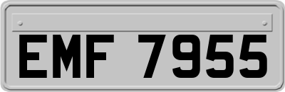 EMF7955