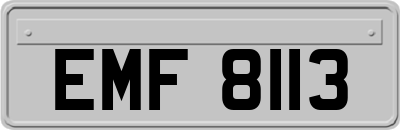 EMF8113