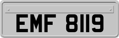 EMF8119