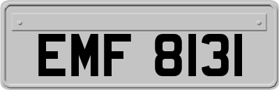 EMF8131