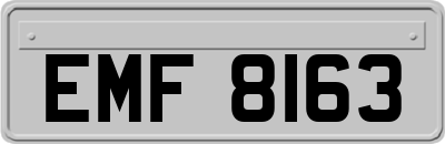 EMF8163