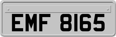 EMF8165