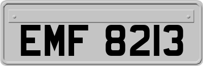EMF8213