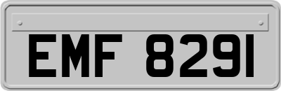 EMF8291