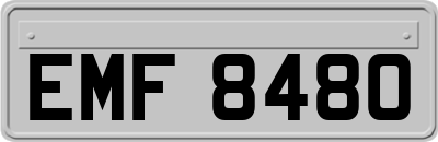 EMF8480