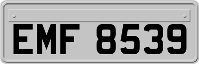 EMF8539