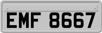 EMF8667