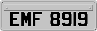 EMF8919
