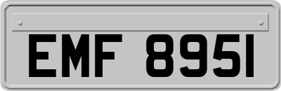 EMF8951