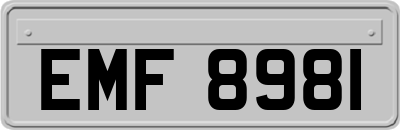 EMF8981
