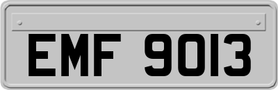 EMF9013