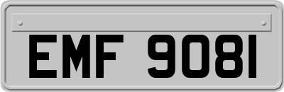 EMF9081