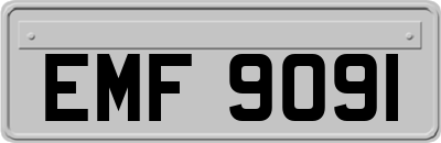 EMF9091