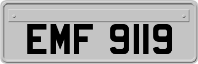 EMF9119