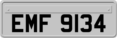 EMF9134