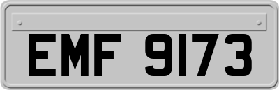 EMF9173