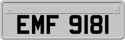 EMF9181