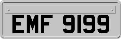 EMF9199