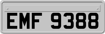 EMF9388