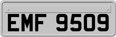 EMF9509