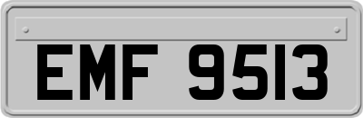 EMF9513
