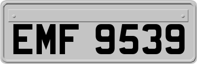 EMF9539