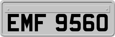 EMF9560