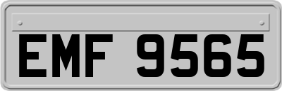 EMF9565