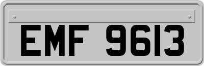 EMF9613