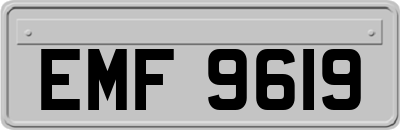 EMF9619