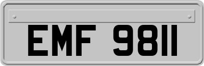 EMF9811