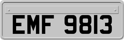 EMF9813