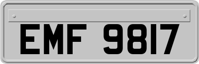 EMF9817