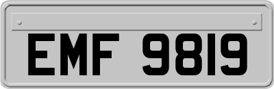 EMF9819