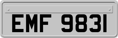 EMF9831