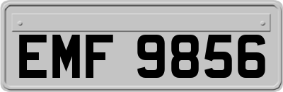 EMF9856