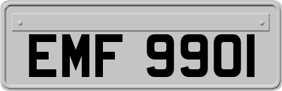 EMF9901