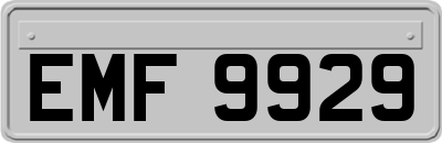 EMF9929
