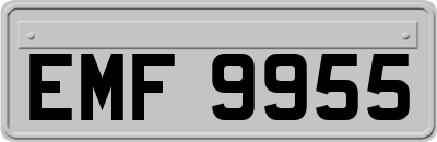 EMF9955