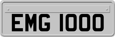 EMG1000