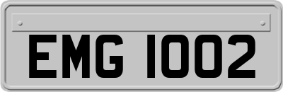 EMG1002