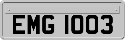 EMG1003
