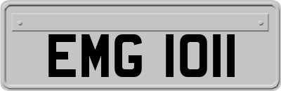 EMG1011