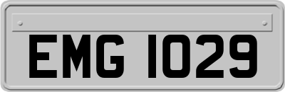 EMG1029