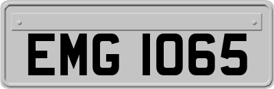 EMG1065