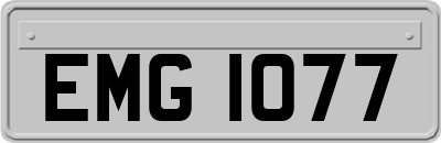 EMG1077