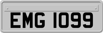 EMG1099
